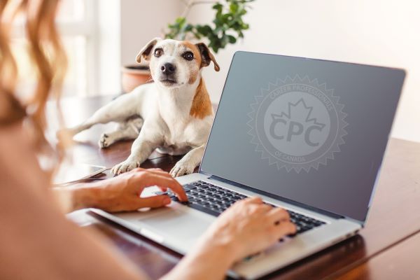 CPC Online Courses