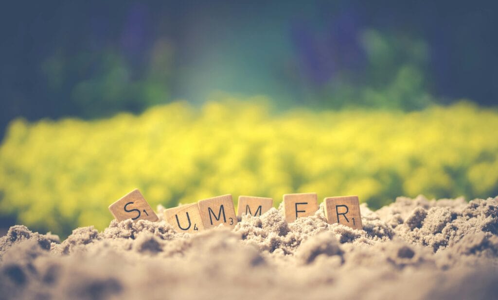 Summer Job Search